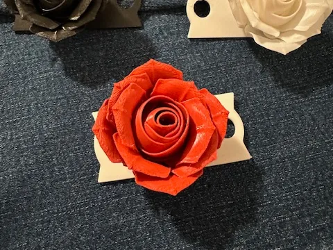 https://makerworld.bblmw.com/makerworld/model/US3dc4e52fa116f7/design/2025-01-17_b0982e5b8c6.jpg