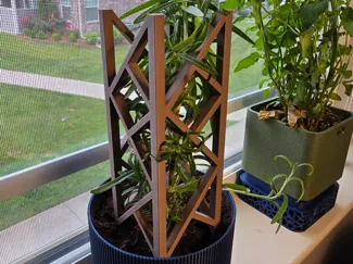 Mini Plant Trellis/Support