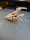 60% SCALE 0.16mm layer, 2 walls, 15% infill