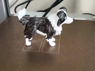 边牧/边境牧羊犬站姿，容易打印版，毛发分层容易上色