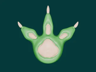 dino foot magnetic