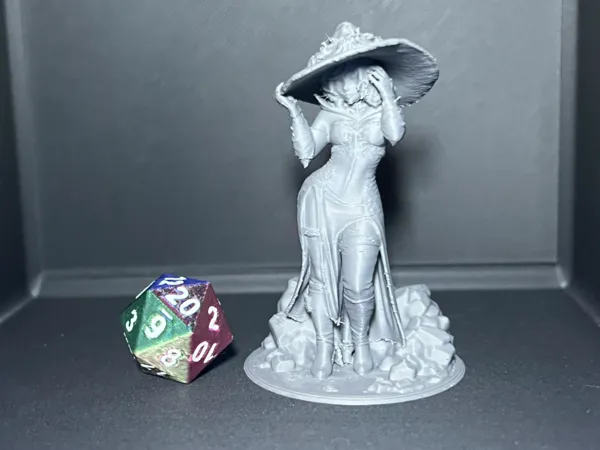 https://makerworld.bblmw.com/makerworld/model/US3de293fc9022e1/design/79fe67d8d67a6193.jpeg