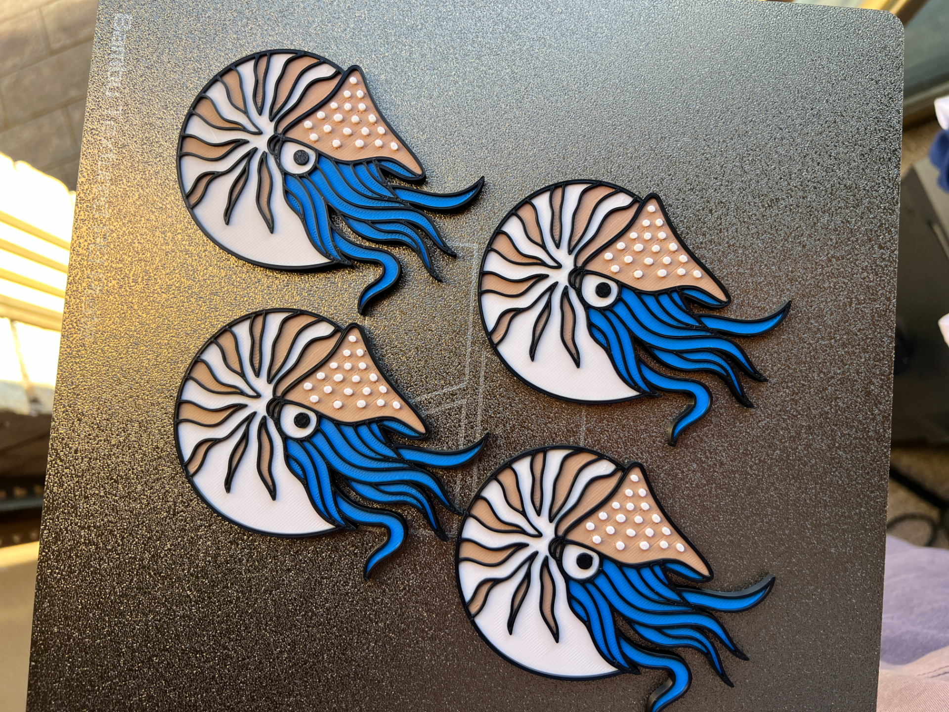 Nautilus Tactile Story Prop