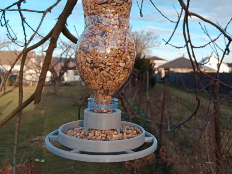bird feeder