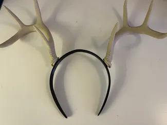 Antlers  with alice band 