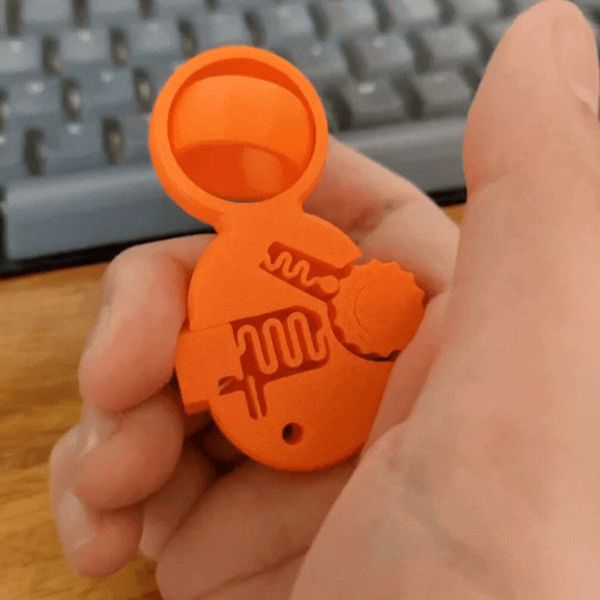 https://makerworld.bblmw.com/makerworld/model/US3dec270535e6b3/design/2025-04-15_c489ff362eeba8.gif