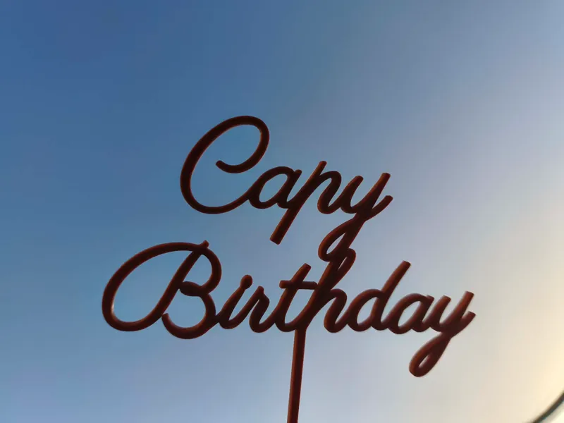 capy birthday cake topper
