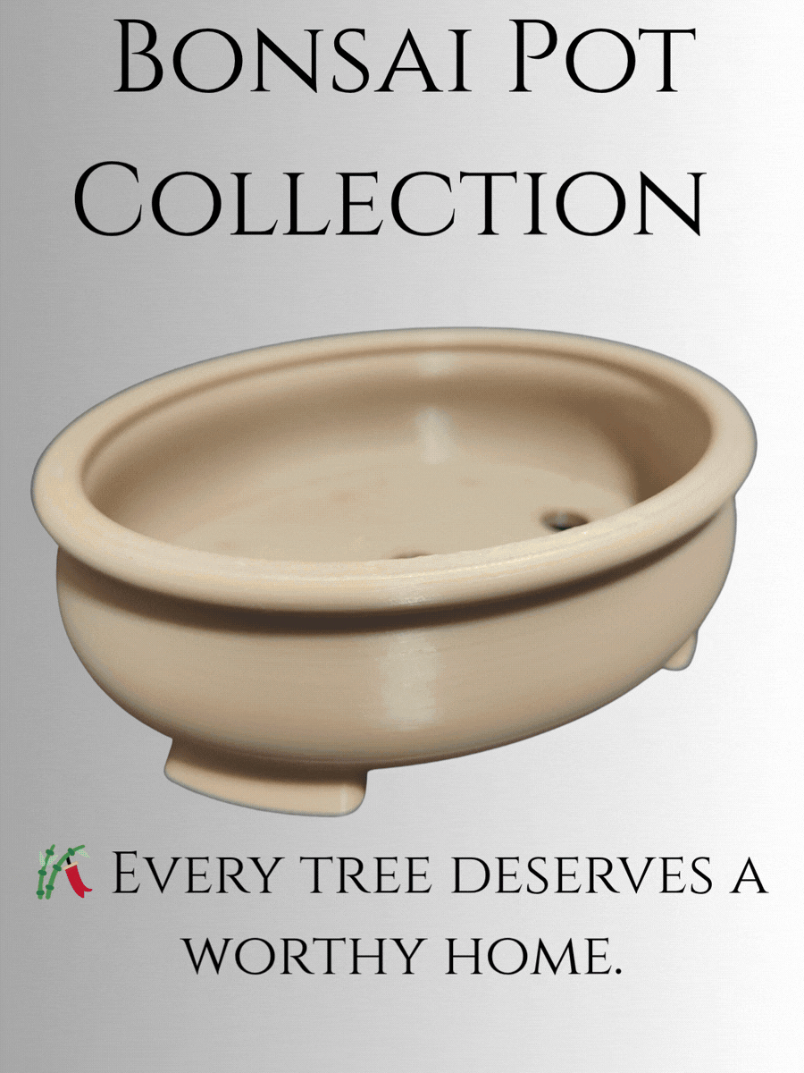 Bonsai Pot Collection