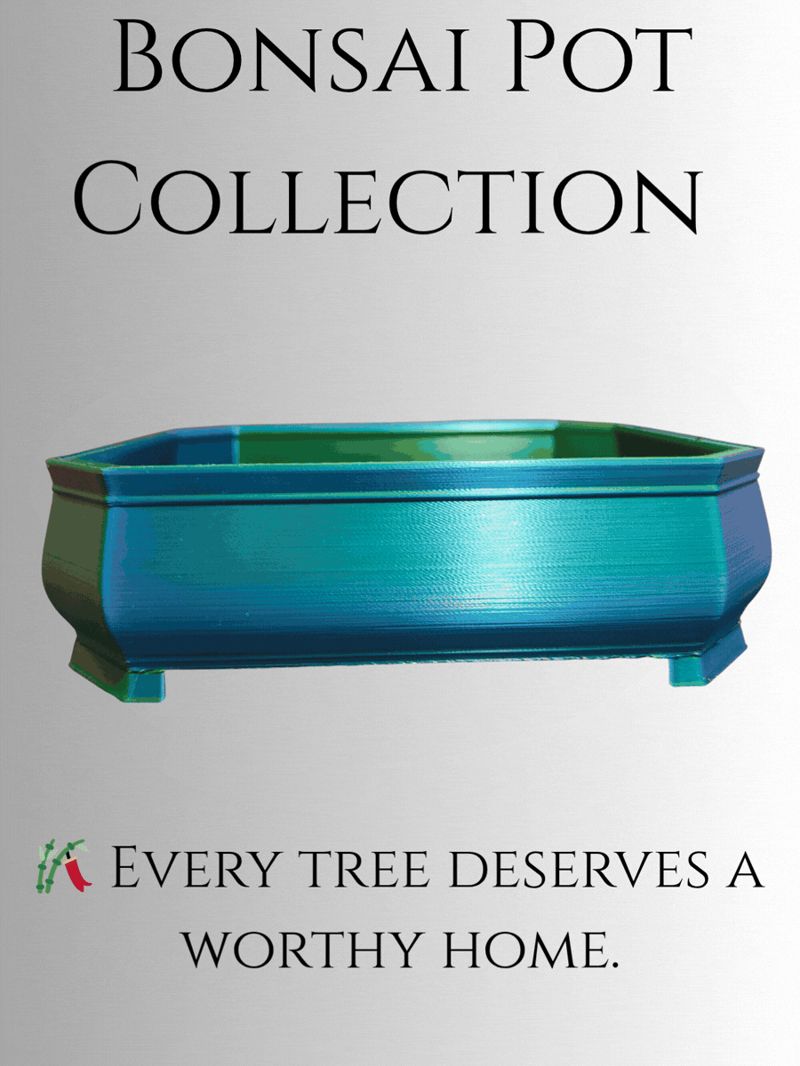 Bonsai Pot Collection