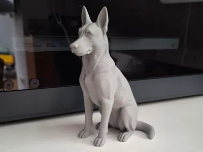 Malinois Dog 