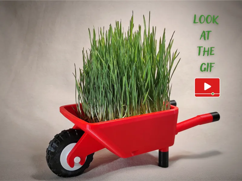 Multi-Purpose Wheelbarrow – Feed, Grow, Decorate!