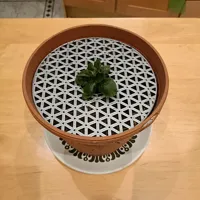 Protection anti-animaux pour pots de plantes — photo 9
