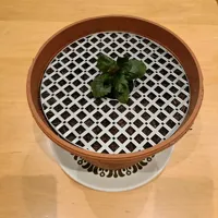 Protection anti-animaux pour pots de plantes — photo 7