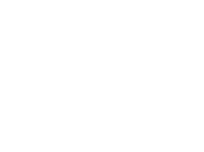 Biscuit Pro Coin Logo