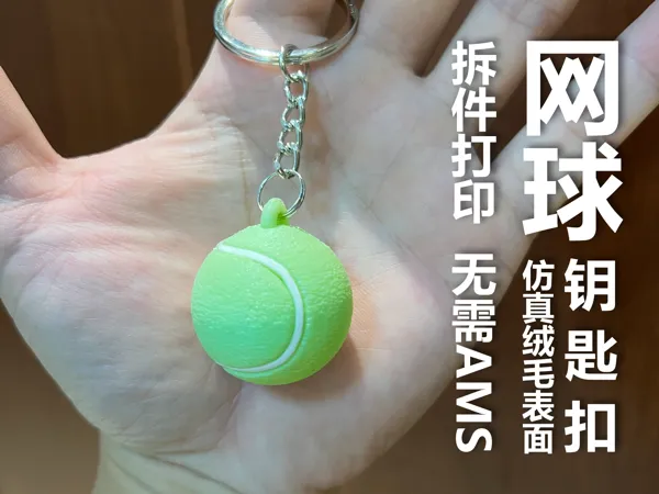 https://makerworld.bblmw.com/makerworld/model/US3e071f70d5474d/design/2025-09-09_66cf0d7372101.jpg