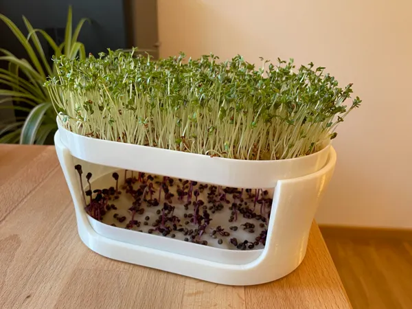 https://makerworld.bblmw.com/makerworld/model/US3e077b98df9fc7/design/2024-01-23_d86e98362f27c.jpg