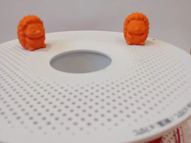 no supports cute tiny hedgedog 