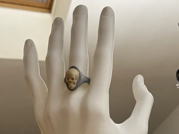 https://makerworld.bblmw.com/makerworld/model/US3e09d588a6a32/design/61d1cf310f408f1f.jpg