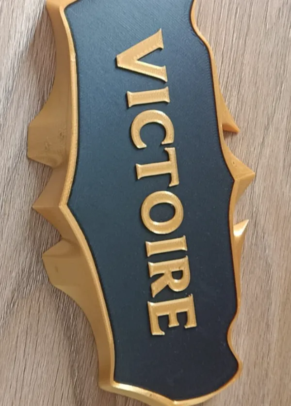https://makerworld.bblmw.com/makerworld/model/US3e0d23f8d96804/design/2024-05-20_8810733c1877e.jpg