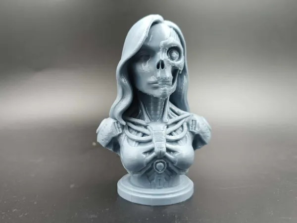 https://makerworld.bblmw.com/makerworld/model/US3e0e5a761376e9/design/2025-08-21_24456b3f56f568.jpg