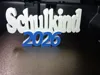 0.24mm layer, 2 walls, 15% infill