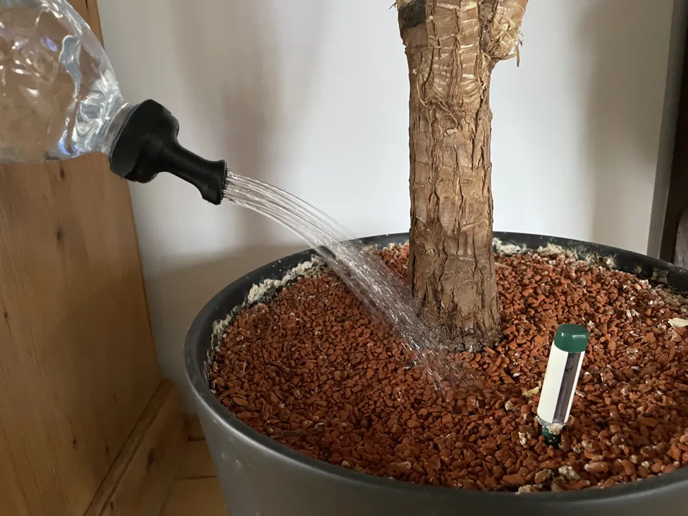 Gießkannenaufsatz für PET Flaschen – Kostenloses 3D-Druckmodell – MakerWorld
