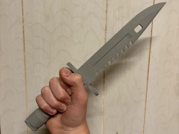 https://makerworld.bblmw.com/makerworld/model/US3e15b7af5bc7dd/design/d0f69712286b31ba.jpeg