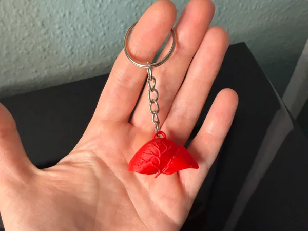https://makerworld.bblmw.com/makerworld/model/US3e1b1372ef42f5/design/67cac766e9864641.jpeg