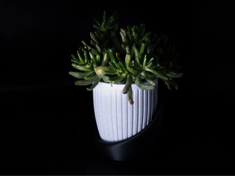 Doric Flower Vase Planter by JDL