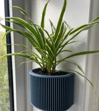 Wall mounted planter - No nails needed 