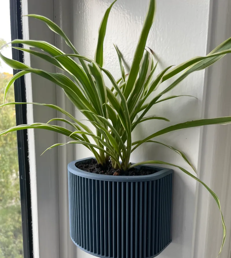 Wall mounted planter - No nails needed
