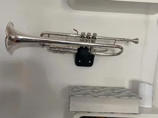 Trumpet wall mount