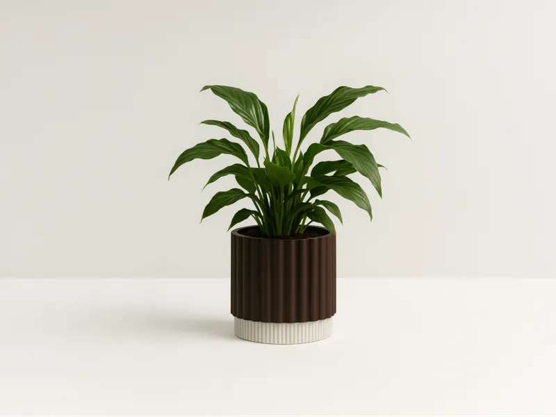 Circular Planter with drainage