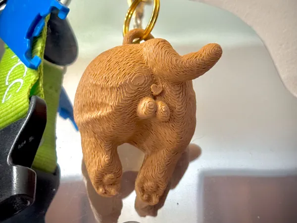 https://makerworld.bblmw.com/makerworld/model/US3e331db9bc4c0/design/c7f9943b46bc0691.jpg