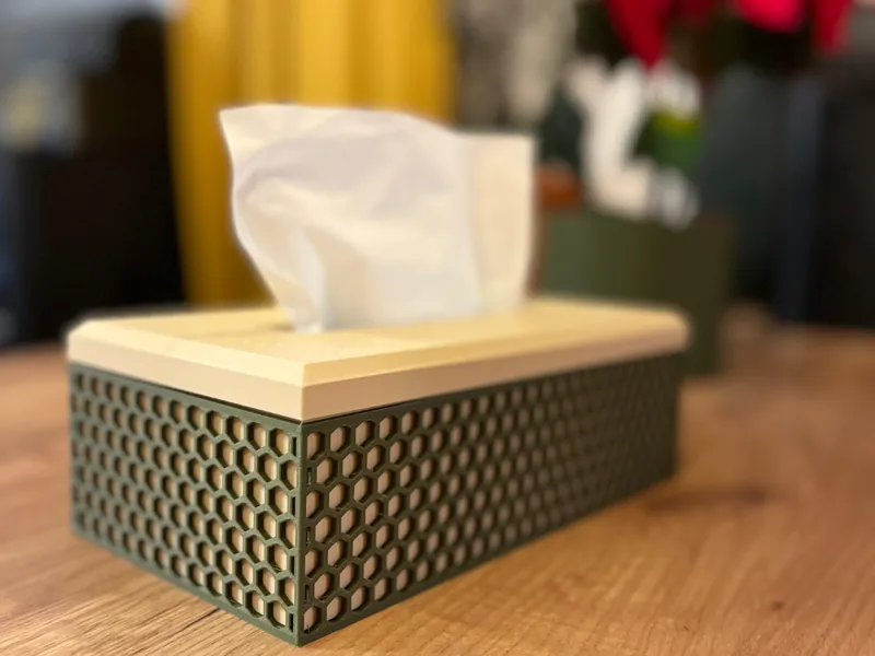 Honeycomb Tissue Box