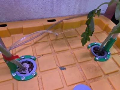 Plant Support