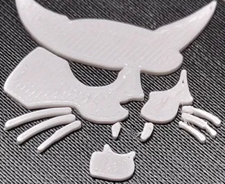 bobcat keyrign