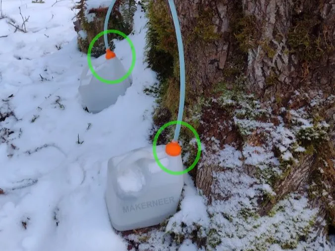 Maple Sap Collecting - 5/16 Hose to 1 Gallon Jug