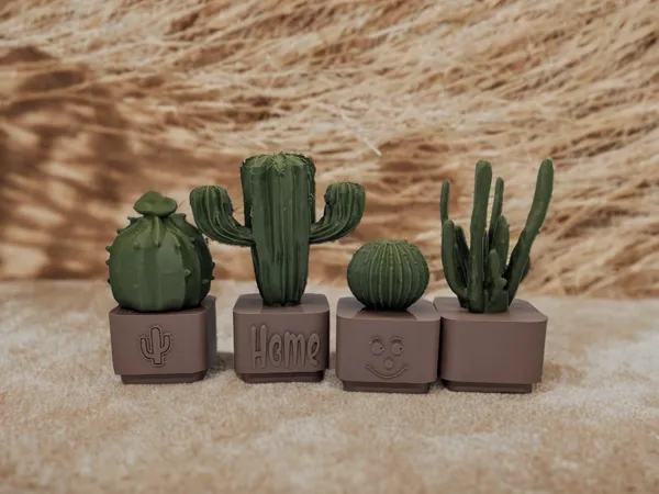 https://makerworld.bblmw.com/makerworld/model/US3e45f8067e005a/design/2025-02-11_be7f829878c78.jpg
