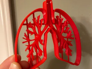 Lungs Cookie cutter