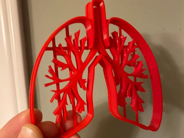https://makerworld.bblmw.com/makerworld/model/US3e477096397c36/design/2025-03-12_be0b60e1361728.jpg