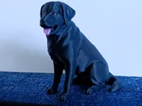 3 color pla