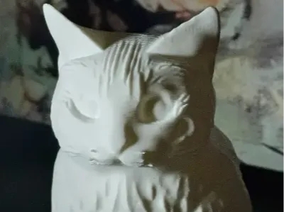Meowl 