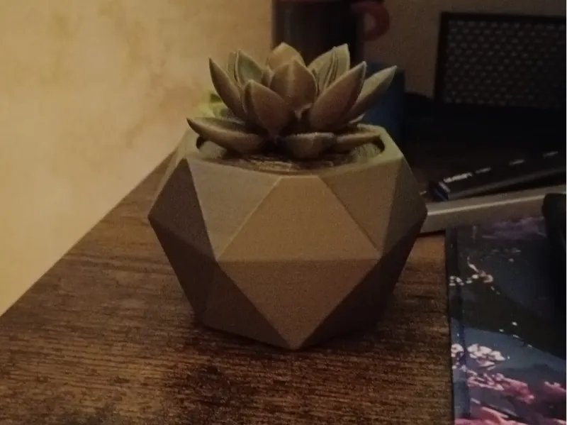 Succulenta Low-Poly in Vaso Geometrico