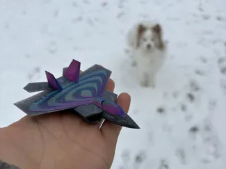 Fighter Jet F-22 Raptor "Style"