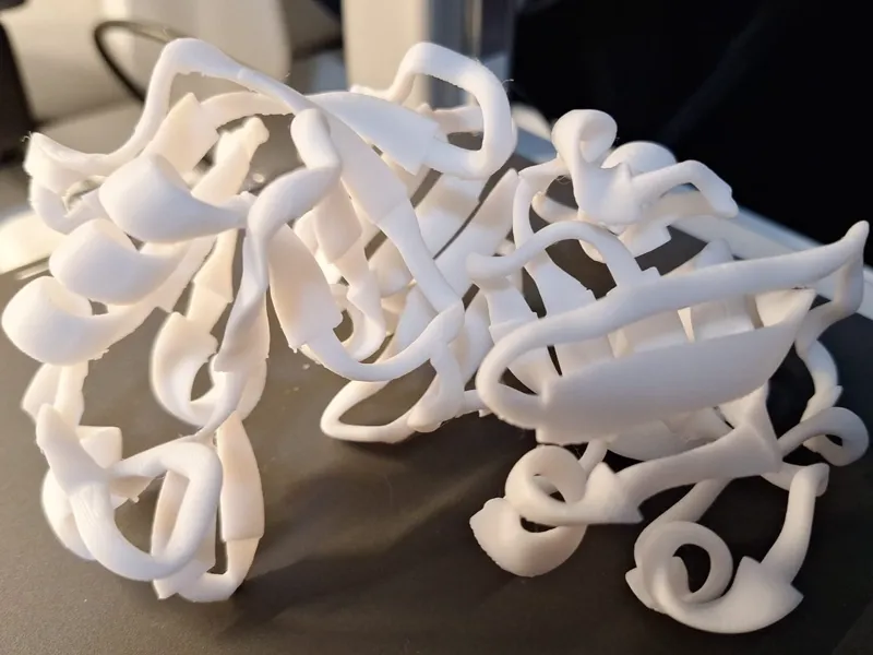 Chymosin Protein