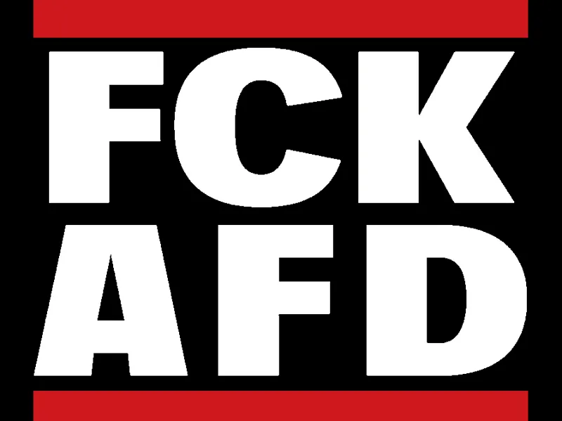 RUN DMC meme FCK AFD