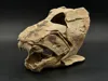 Dunkleosteus