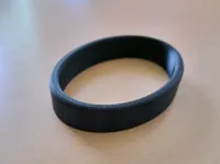 Schlüpfring Gans