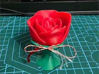 Rose on the table